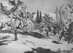 61:70-Parque del castillo nevado